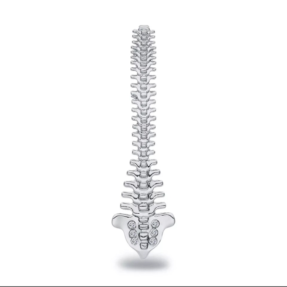 Metal Spine Brooch Pin - Picture 1 of 6